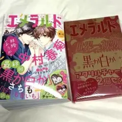 エメラルド 2025春の号　付録（新品）セット