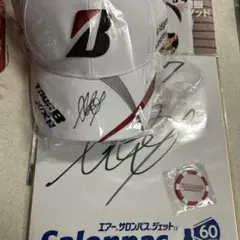 宮里藍プロの直筆サイン色紙及びキャップにサインされた2点…値引き交渉可 宮里藍プロの直筆サイン色紙及びキャップにサインされた2点…値引き交渉