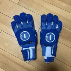 n1キーパーグローブ