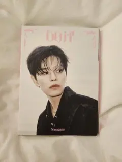 【開封済み】straykids DO IT accordion スンミン