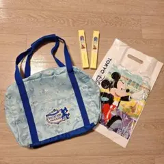 ★ディズニー★バケーションパッケージ　キャリーオンバッグ　オマケ付
