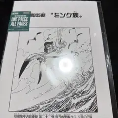 ワンピース　ベースショップ　base ALL PAGES 805話　ミンク族