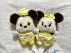 ディズニーストア ららぽ立川立飛店 ミッキー・ミニー うるぽちゃ