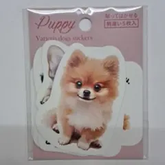 いっぬ出品 楽天市場】イッヌの通販