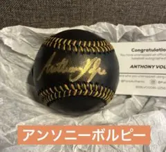 最終価格　激レア　MLB 公式球 ブラックボール　ピート・ローズ 直筆サイン入 激レア MLB 公式球 ブラックボール ピート・ローズ 直筆サイン入