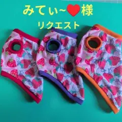みてぃ~♥様専用ページ