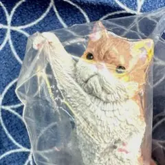 nyaoooo!! 2 エキゾチックショートヘア　カプセルトイ　ガチャ