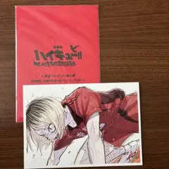 ハイキュー！！〜ゴミ捨て場の決戦〜 ビジュアルカード【孤爪研磨】