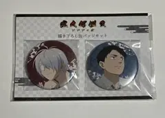 鬼太郎誕生 ゲゲゲの謎 パルフレット 缶バッジセット 鬼太郎の父 水木