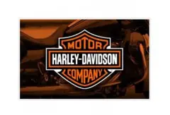 ハーレーダビッドソン HARLEY-DAVIDSON フラッグ バナー 非売品 000000031714_3_HjVeCCP.jpg