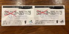 【11/29】ディズニーフリードリンク券2枚⭐︎バケパポップコーン
