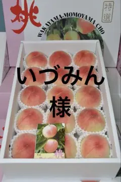 14日午前着のサムネイル