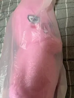 SKZOO PLUSH BAG DWAEKKI チャンビン 特典 トレカ付き - メルカリ