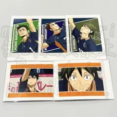 ハイキュー!! 影山飛雄 山口忠 澤村大地 東峰旭 烏野 ぱしゃこれ まとめ売り