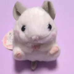 【まとめ買い対応】ころはむコロン チラくん ぬいぐるみ マスコット チンチラ