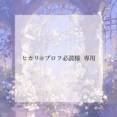 プレインシート 専用