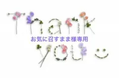 お気に召すまま様専用　梅干し中粒500gのサムネイル