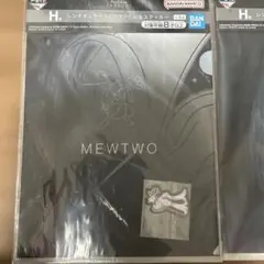 Mewtwo & Gengar クリアファイルセット