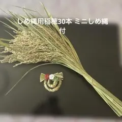 しめ縄用稲穂30本 ミニしめ縄付
