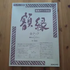 KOKUYO 額縁 金ラック A3サイズ
