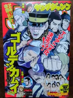 週刊ヤングジャンプ　2017年8月31日号 (値下げOK)