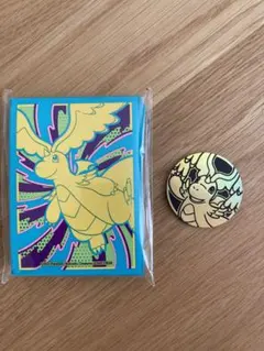 ポケモンカード　海外　公式デッキシールド カイリュー& カイリュー　コイン付き