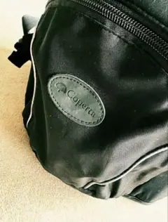 極美品　コペルタ　ヒップシート