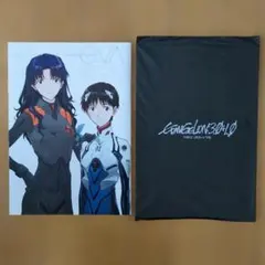 シン・エヴァンゲリオン劇場版 EVAグッズ,袋は未開封
