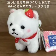 豆しば 三兄弟 苺づくし しらたま ぬいぐるみマスコット タグ付き