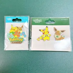ポケパーク カントー ピンズ ピンバッジ イーブイ - メルカリ