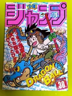 レア 週刊少年ジャンプ 1987年37号 表紙 ドラゴンボール 鳥山明 - メルカリ