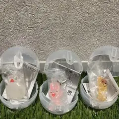 Item thumbnail for item e51072d9-51c8-4678-bbf6-874f6795873f