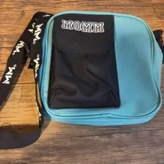 Item thumbnail for item 3669e562-9306-4780-a32c-59e47fb49f8f