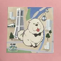 SPY×FAMILY「おでけけ」大作戦　横浜・みなとみらい　ボンド　ステッカー