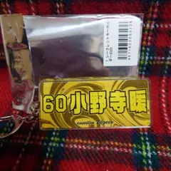 Item thumbnail for item 57047cf6-482a-43e4-8787-aa9402955365