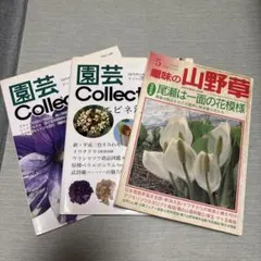 2026年最新】趣味の山野草の人気アイテム - メルカリ