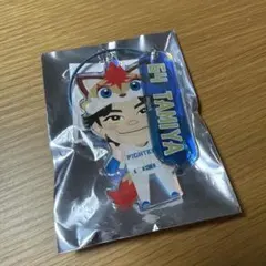 2026年最新】田宮裕涼の人気アイテム - メルカリ