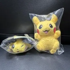 韓国限定 ポケモン ピカチュウ ピチュー 2点セット