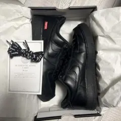 Item thumbnail for item 0f22b2a2-4868-47d6-912c-dd07e219cb9a