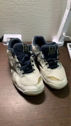 ミズノ　シューズ　室内　バレー　バスケ　ドッジボール　子供用