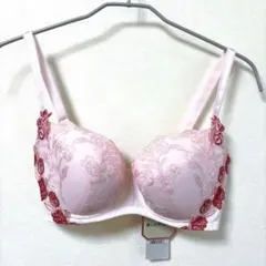 RED LABEL BY Triumphレッドレーベルバイトリンプ ブラE75