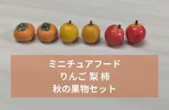 9月限定 ミニチュアフード りんご 梨 柿　秋の果物セット（大）