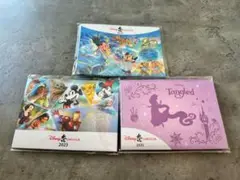 Disney Card Club 2022 2023 2025 3枚セット