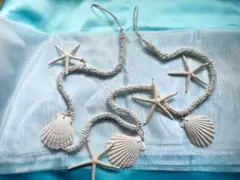 ウェルカムスペース　貝殻