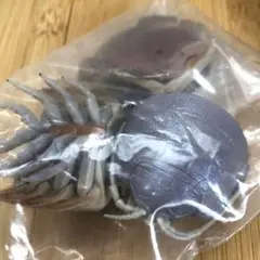 Item thumbnail for item 4d545dcd-ea4e-4cc1-a3db-e99860123c6f