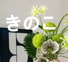 SUKALA プリントヨギラグ　プレザントグリーンifyのサムネイル