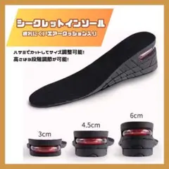 シークレットインソール 中敷き 調節可能 黒 エアインソール インソール3107のサムネイル