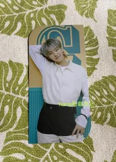 SEVENTEEN ヘンガレ ランダムブックマーク ホシ①