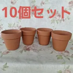 テラコッタ植木鉢 盆栽 陶器製 園芸 ガーデニング 庭 10個セット 鉢386のサムネイル