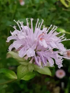 みるく様 リクエスト 2点 まとめ商品